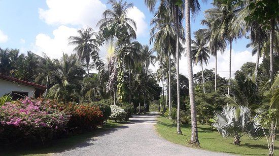 Magic Alambic Rum Distillery